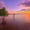 Thumbnail of related posts 111