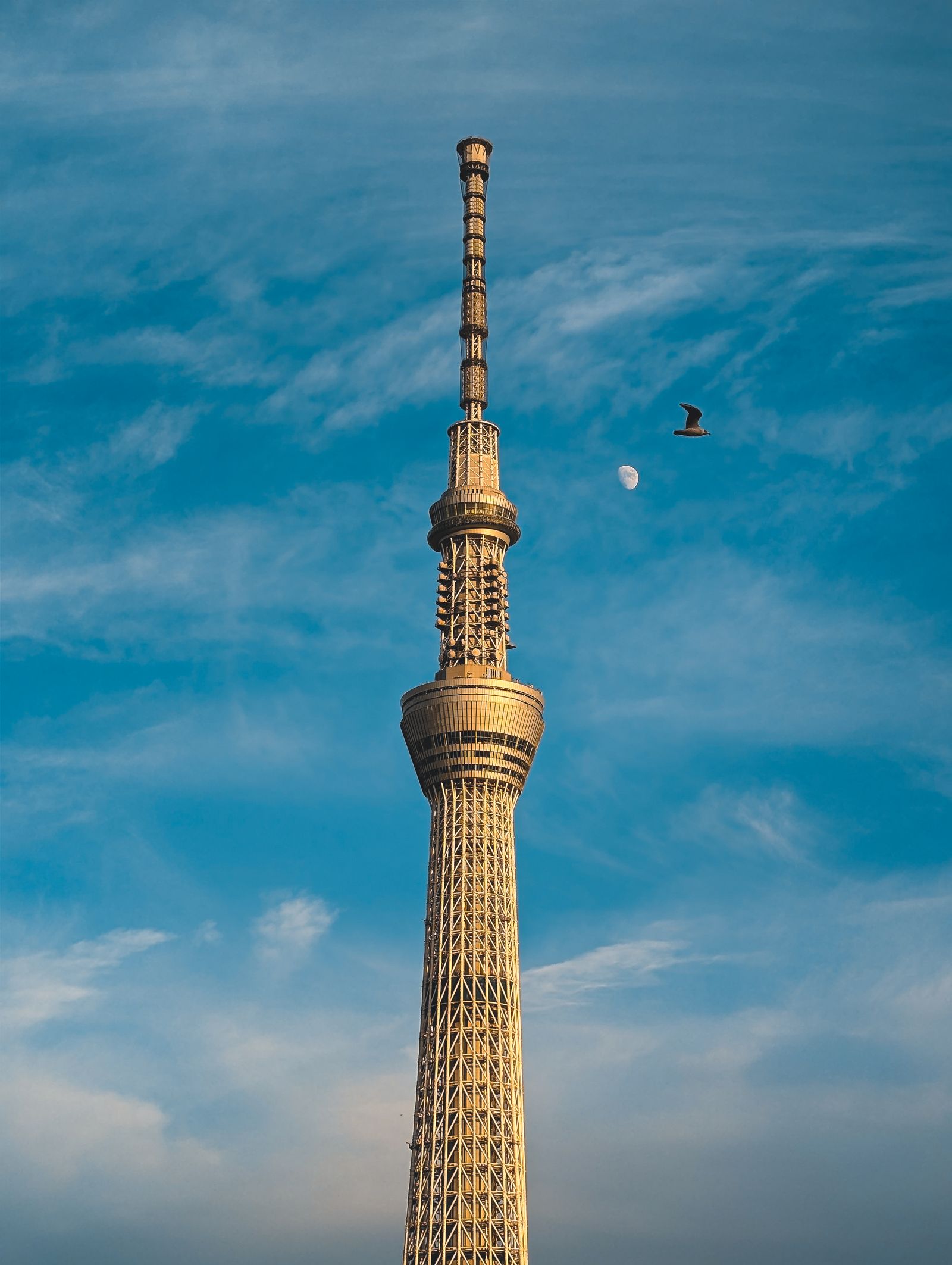 Tháp Tokyo Skytree vươn lên nền trời xanh, một cánh chim và vầng trăng nhỏ phía trên